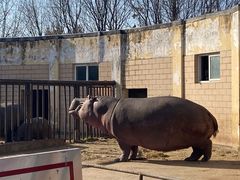 -合肥野生动物园