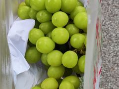 -鲜丰水果(上海汇城苑店)