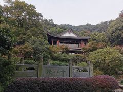 -十八棵（老龙井）御茶园(老龙井店)