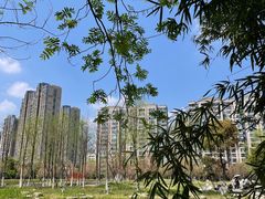 -洋湖国家湿地公园