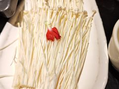 -0048鲜活香辣虾·火锅(铜陵路店)
