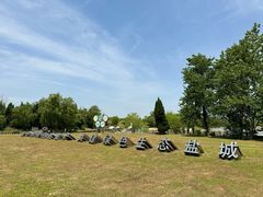 -盐城丹顶鹤湿地生态旅游区