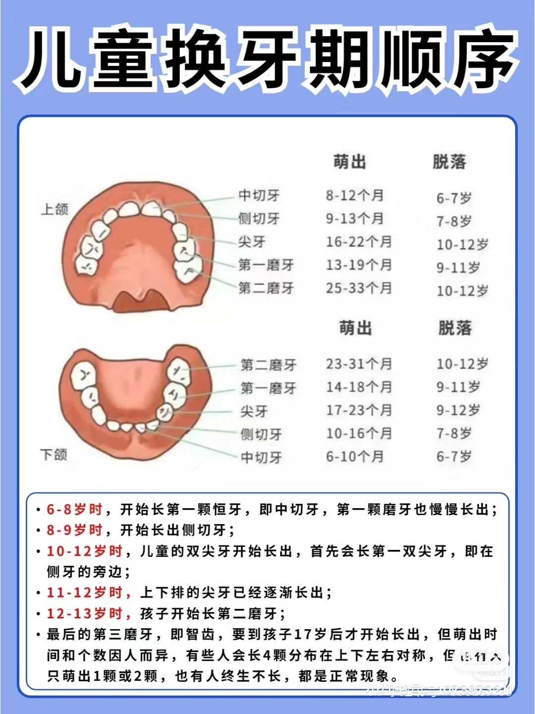 换牙的先后顺序图图片