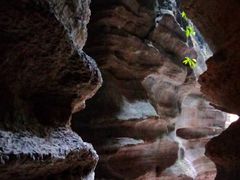 -梭布垭石林景区