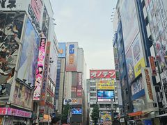 -秋叶原电器街
