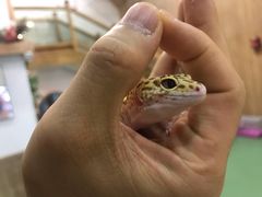 -藦茜花园宠物主题亲子互动体验馆(国顺东路店)