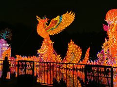 -唐御宴•御宴宫•唐代菜点(芙蓉西路店)