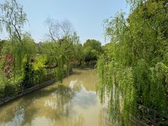 -南汇桃花村