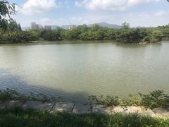 -江心屿景区