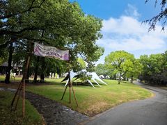 -苏州上方山国家森林公园