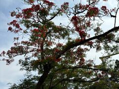 -金泰食府(竹园店)