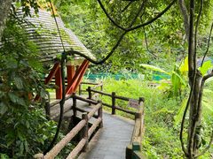 -西双版纳原始森林公园