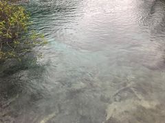 -九寨沟-树正沟