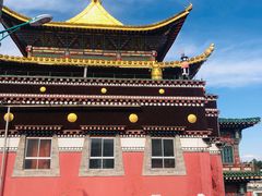 -塔尔寺菩提树