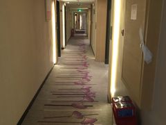 -麗枫酒店(广州科学城黄陂地铁站店)