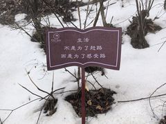 -终南山南五台景区