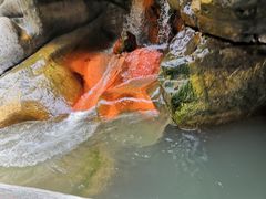 -华蓥山天意谷景区