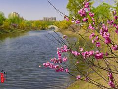 -长春公园(普阳街道)