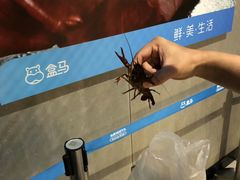 -盒马鲜生(曜一城店)