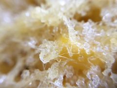 -白家寨子·山野白族菜(古城总店)