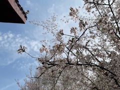 -堤角公园