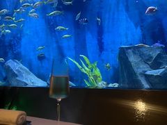 -渔火·特色餐厅(佘山世茂洲际酒店)