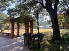 -上海瑞金洲际酒店