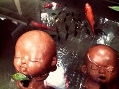 iphone_upload_pic-旅马餐厅(茅家埠店)