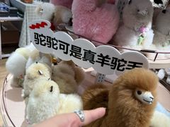 -city'super超·生活(国金中心商场店)