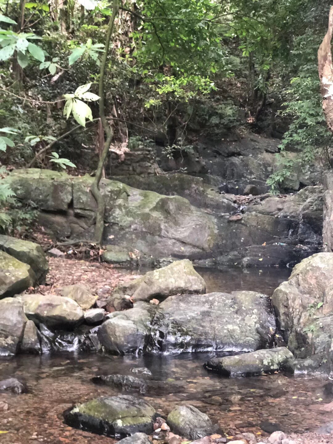 ||必是仙人居住的处所吧充