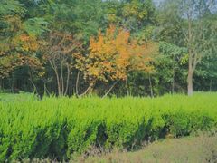 -西安汉城湖景区