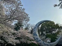-杭州少年儿童公园