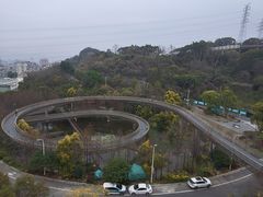 -福道
