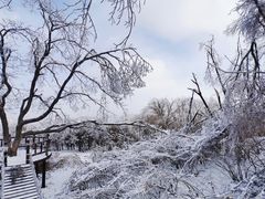 -中旅松花湖滑雪场