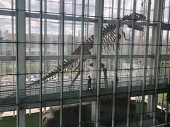 -吉林省自然博物馆