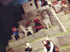 iphone_upload_pic-成都泰迪熊博物馆