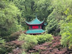 -岳麓山风景名胜区