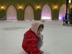-世界之窗阿尔卑斯冰雪世界