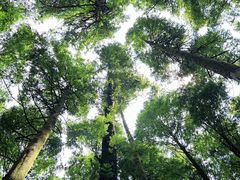 -山王坪喀斯特国家生态公园