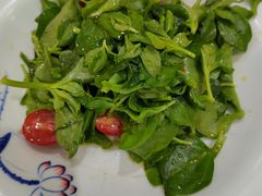 -小柒家第一锹东北菜(城关店)