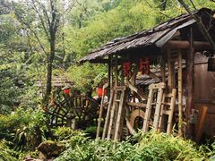 -青城甲(青城山店)