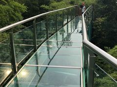 -陶祖圣境风景区