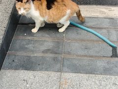 -华兴街煎蛋面(总店)