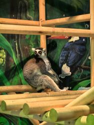 -Zoolung Zoolung动物主题公园(海信广场店)