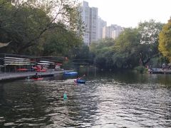 -晓港公园