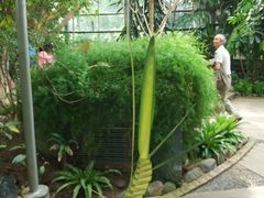 -南山植物园