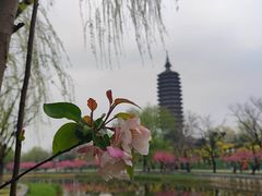 -西海子公园