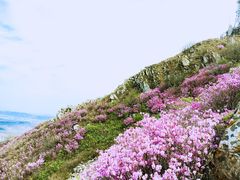 -北马山庄植趣咖啡