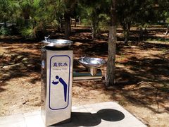 -大兴滨河森林公园