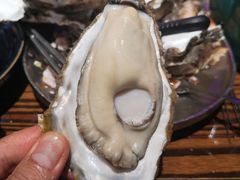 -蚝堡海鲜·威海菜·海肠捞饭·烧烤·亚洲吃蚝公司(幸福门店)
